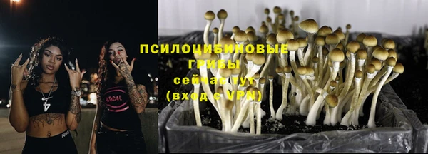 бошки Кулебаки