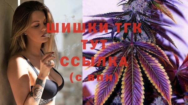 бошки Кулебаки