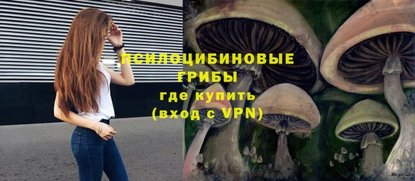 бошки Кулебаки