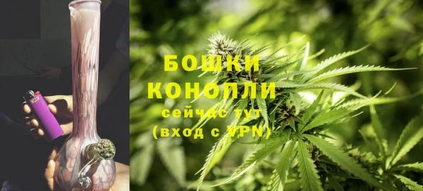 PSILOCYBIN Санкт-Петербург